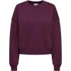 Aubergine